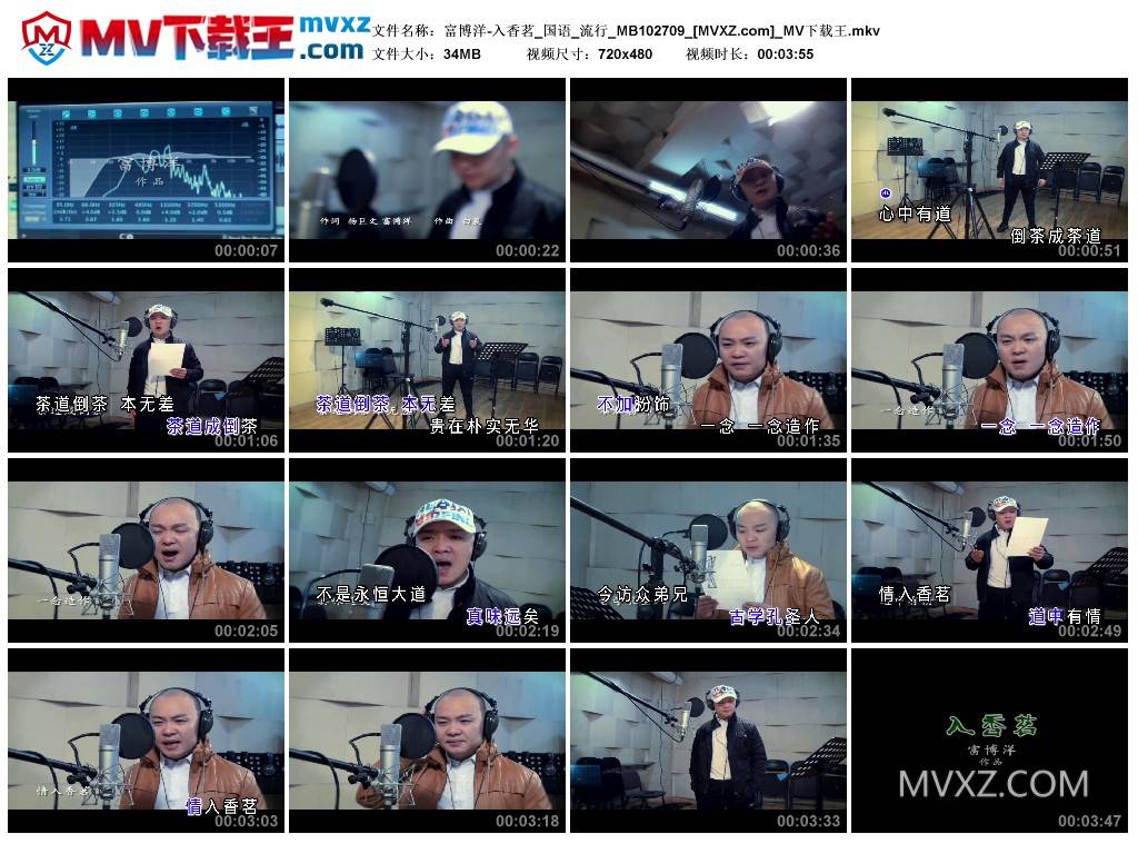 富博洋-入香茗_国语_流行_MB102709